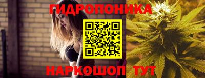 мдпв Малгобек