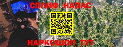 твердый Моздок
