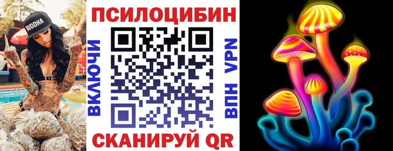 кракен как войти  что такое   Вольск  Псилоцибиновые грибы ЛСД 