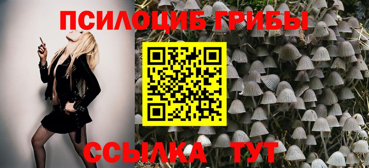 Вольск  Псилоцибиновые грибы Magic Shrooms  Вход с VPN 