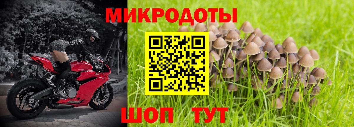 Галлюциногенные грибы прущие грибы Вольск
